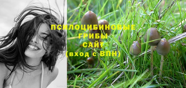 гидра Кулебаки