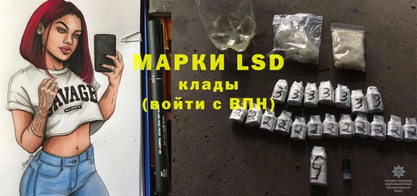 гидра Кулебаки