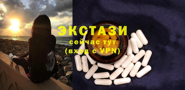 гидра Кулебаки