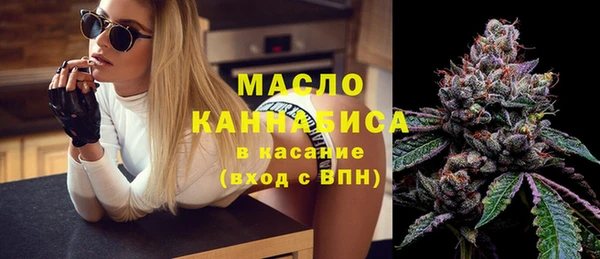 гидра Кулебаки